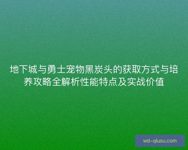 地下城与勇士宠物黑炭头的获取方式与培养攻略全解析性能特点及实战价值